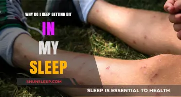 Why Do I Keep Getting Bitten in My Sleep? Causes and Solutions