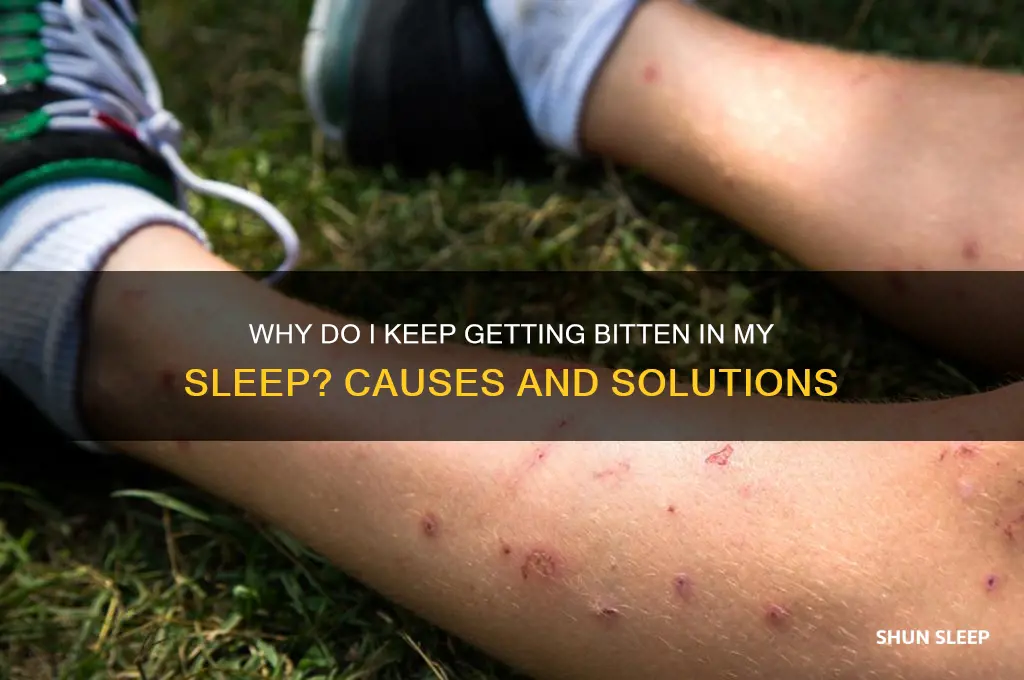 why do i keep getting bit in my sleep