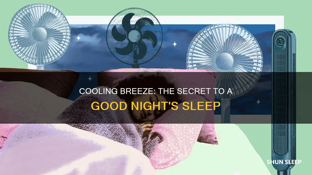 why do i need a fan to sleep