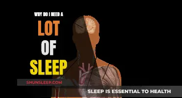 Sleep: My Body's Need for More Rest