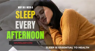 Afternoon Naps: Revitalizing or Redundant?