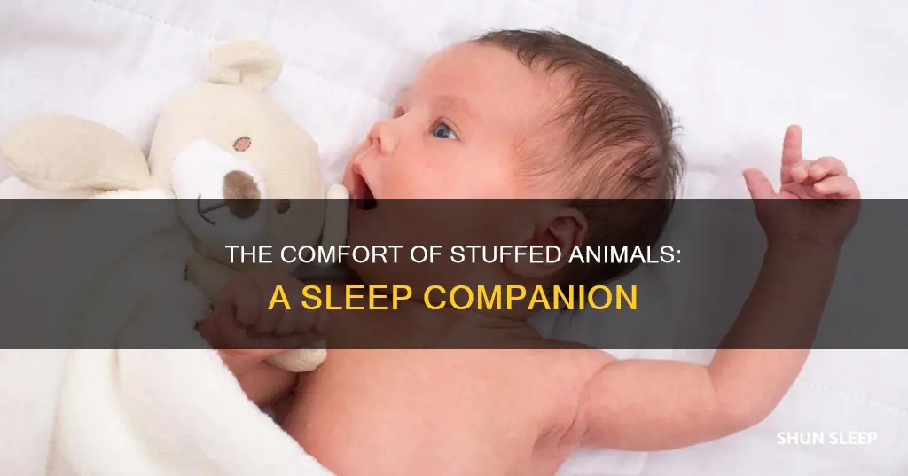 why do i need a stuffed animal to sleep