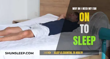 The Calm of a Fan: A Sleep Companion