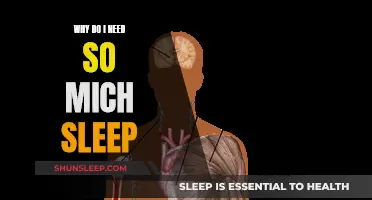 The Mystery of Sleep: Why Do We Need So Much?