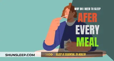 Sleep After Eating: Why Your Body Needs This Rest