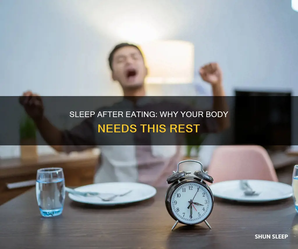 why do i need to sleep afer every meal