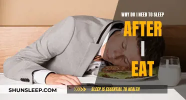Sleep After Eating: Why Do We Need a Nap?