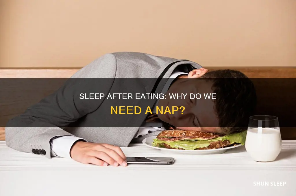 why do i need to sleep after i eat