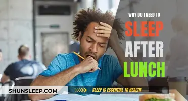 Afternoon Slumber: Why We Need Post-Lunch Naps