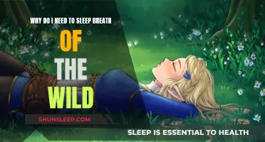Breath of the Wild: Sleep to Succeed