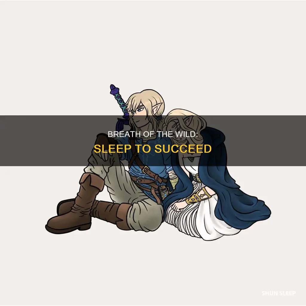 why do i need to sleep breath of the wild