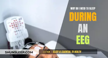 EEG Sleep Studies: Why They're Essential for Brain Health
