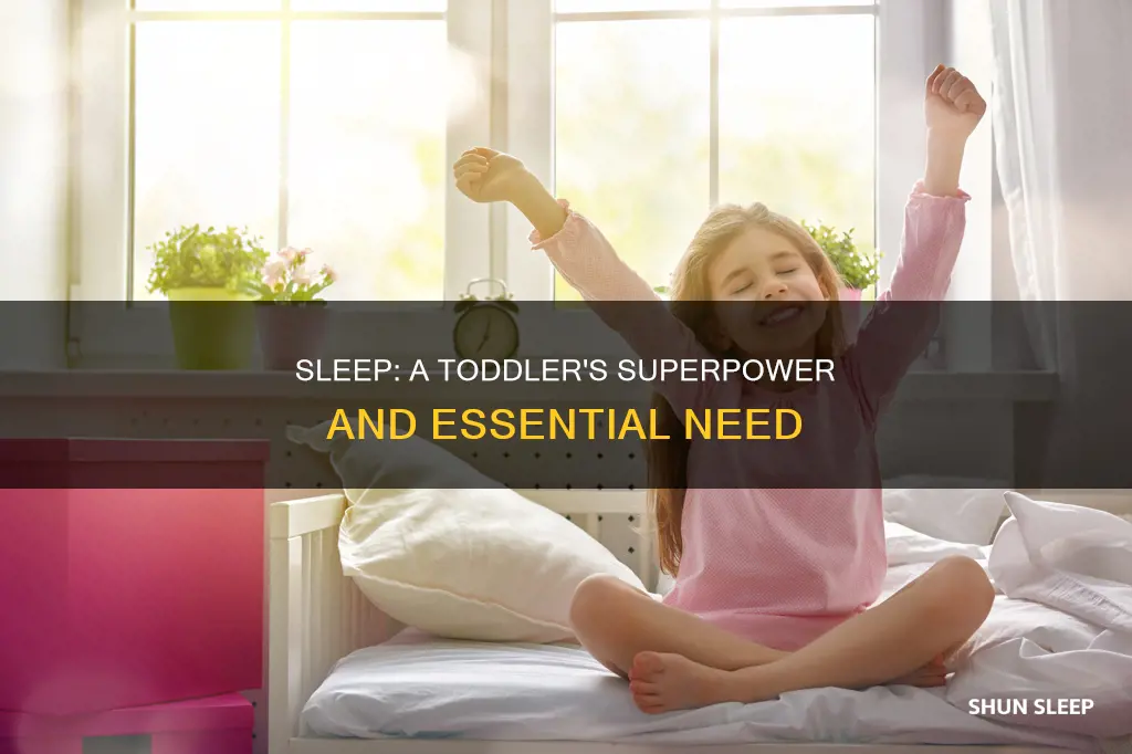 why do i need to sleep toddler