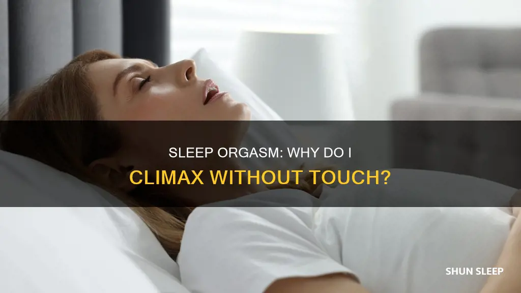 why do i orgasm in my sleep without touching myself