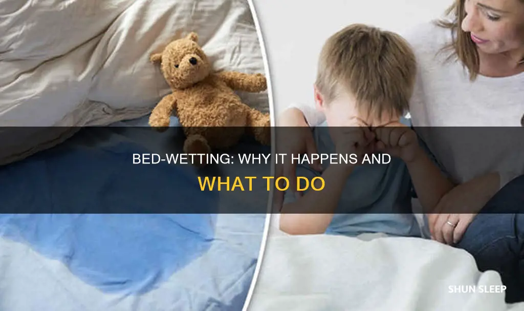 why do i pee in my sleep without knowing