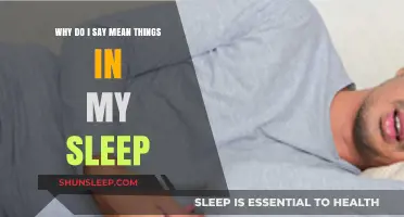 Sleep Talking: Mean Words, Mean Dreams?