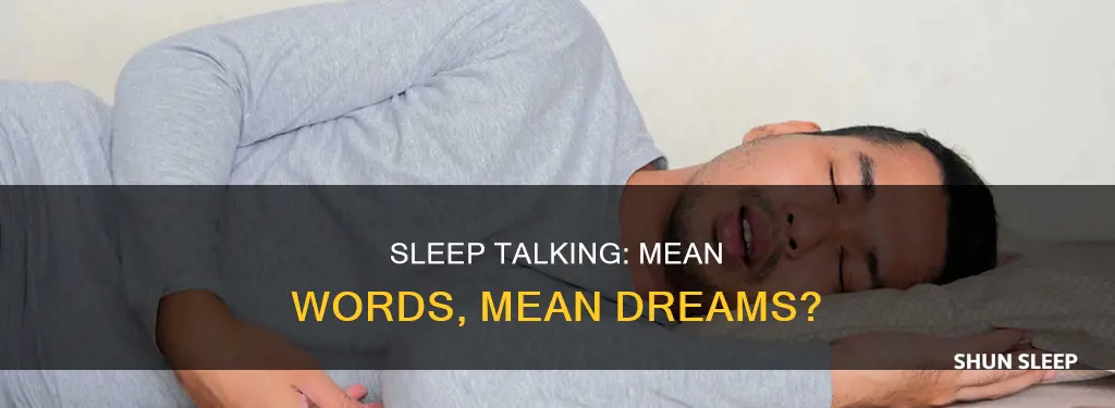 why do i say mean things in my sleep