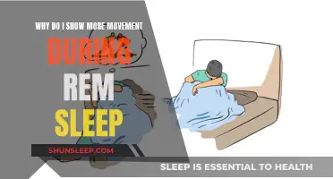 REM Sleep: Why We Move More During Dreaming