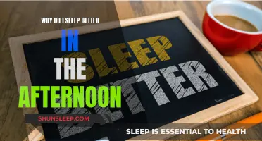 Afternoon Naps: Why Do We Sleep Better?