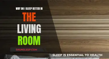 Living Room Sleep: Comfort or Noise?