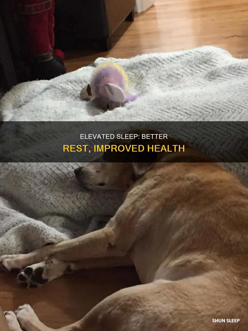 why do i sleep better with my head elevated
