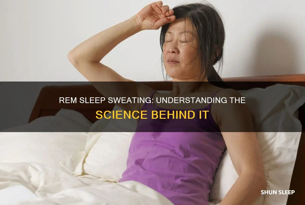 why do i sweat during rem sleep