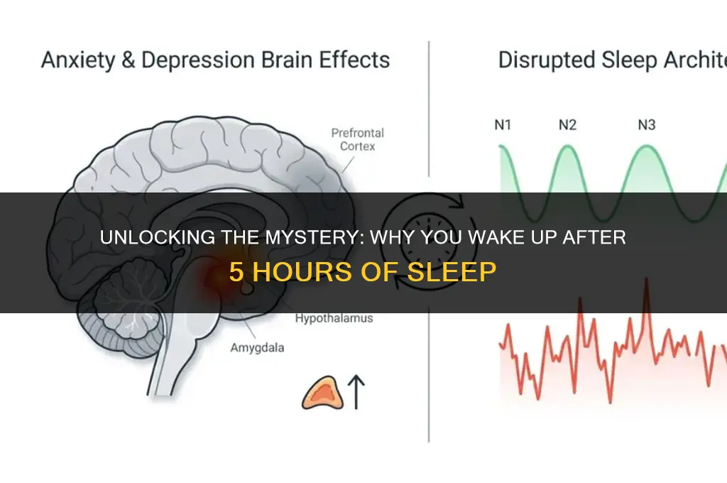 why do i wake up after 5 hours of sleep