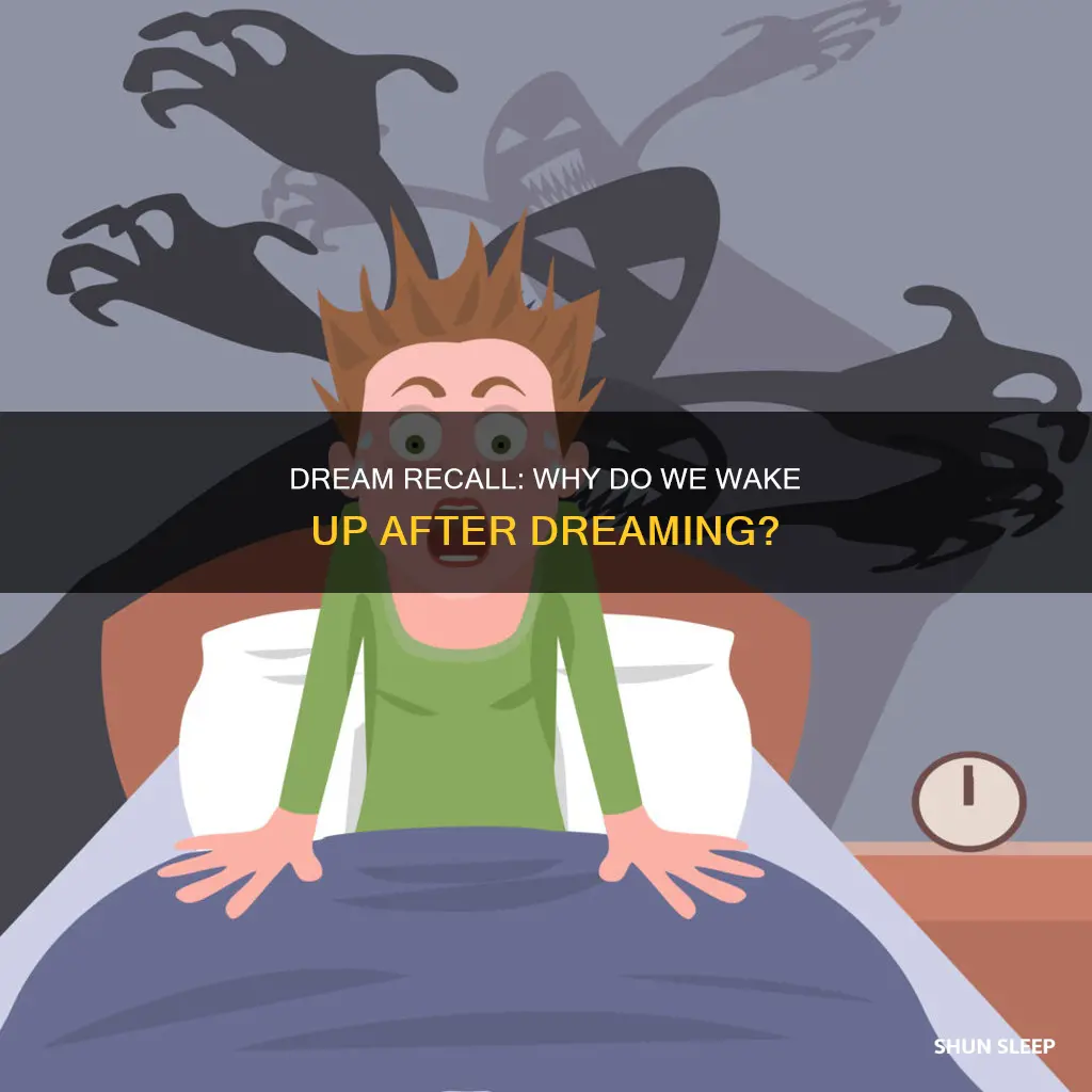 why do i wake up after every dream