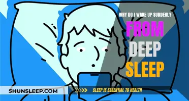 Sudden Awakening: Sleep Patterns and Their Disruptions