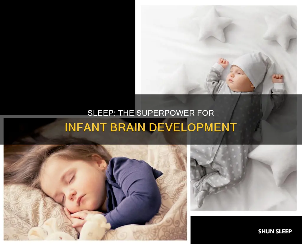 why do infants need a lot of sleep