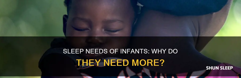 why do infants need more sleep than adults