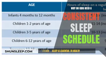 Sleep Schedules: A Child's Key to Success
