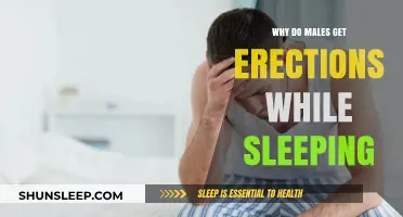 Understanding Nocturnal Erections: Why Men Experience Sleep-Related Arousal