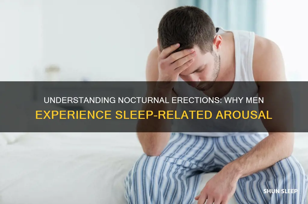 why do males get erections while sleeping