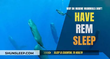 Marine Mammals: No REM Sleep, Why?