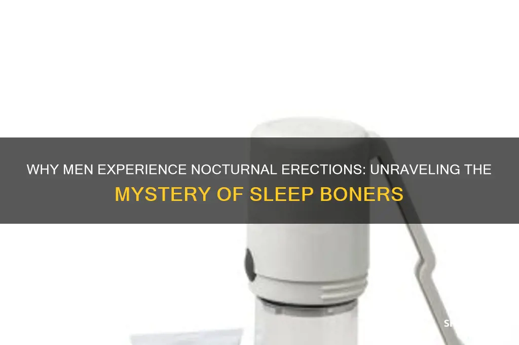 why do men get boners sleeping