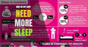Sleep: The Body's Essential Recharge