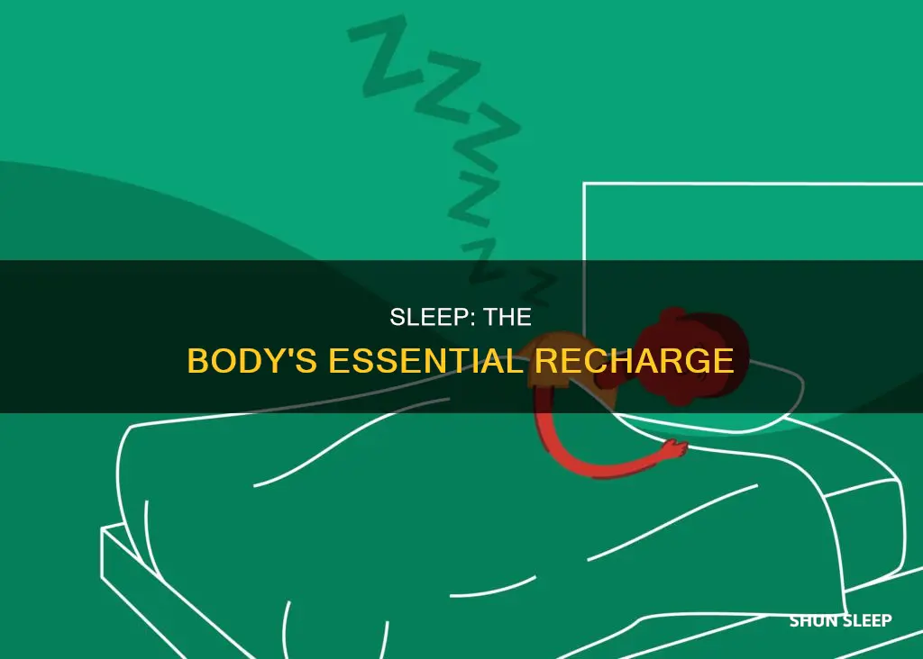 why do my body need more sleep