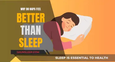 Naps: Why Do They Feel Better Than Sleep?