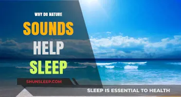 Nature's Lullaby: How Natural Sounds Enhance Sleep Quality and Relaxation