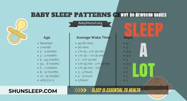 Understanding Newborn Sleep Patterns: Why Do Babies Sleep So Much?