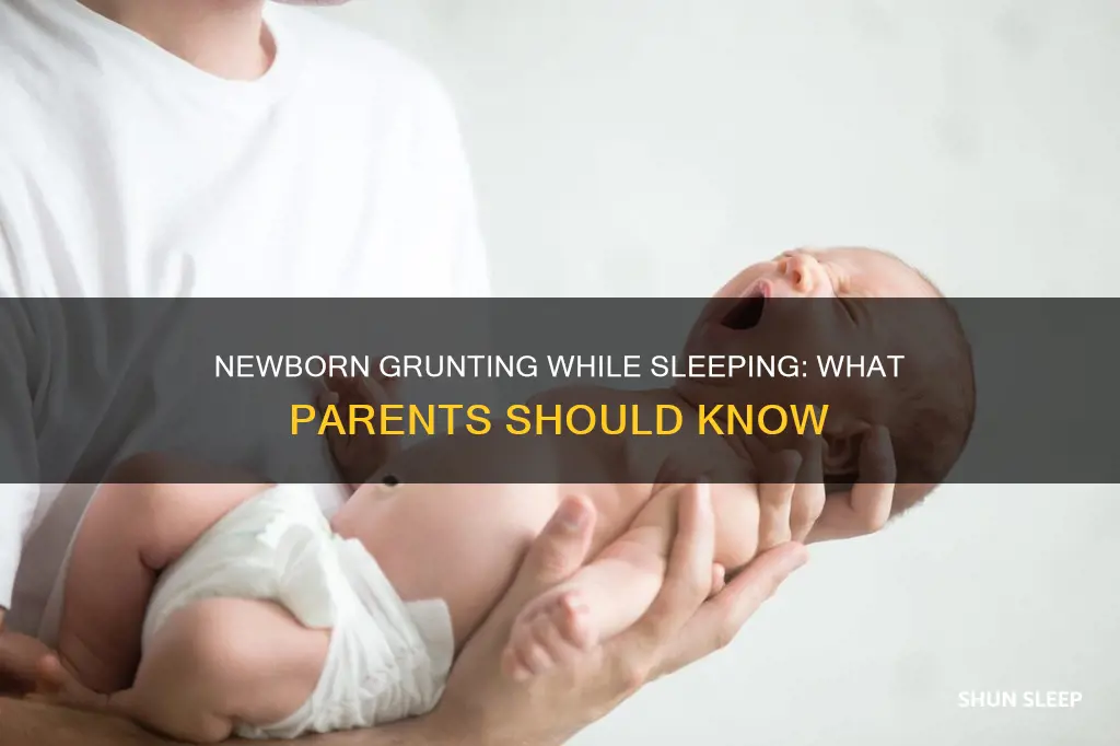 why do newborn grunt while sleeping