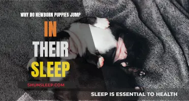 Puppies' Sleep Jumping: Understanding Their Unconscious Instincts