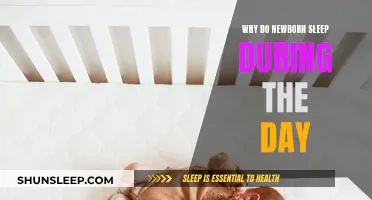 Daytime Naps: Understanding Newborn Sleep Patterns and Habits