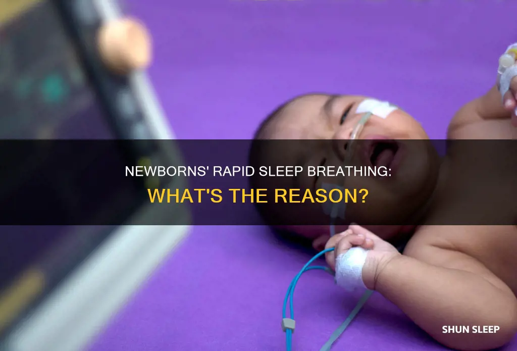 why do newborns breathe fast in sleep