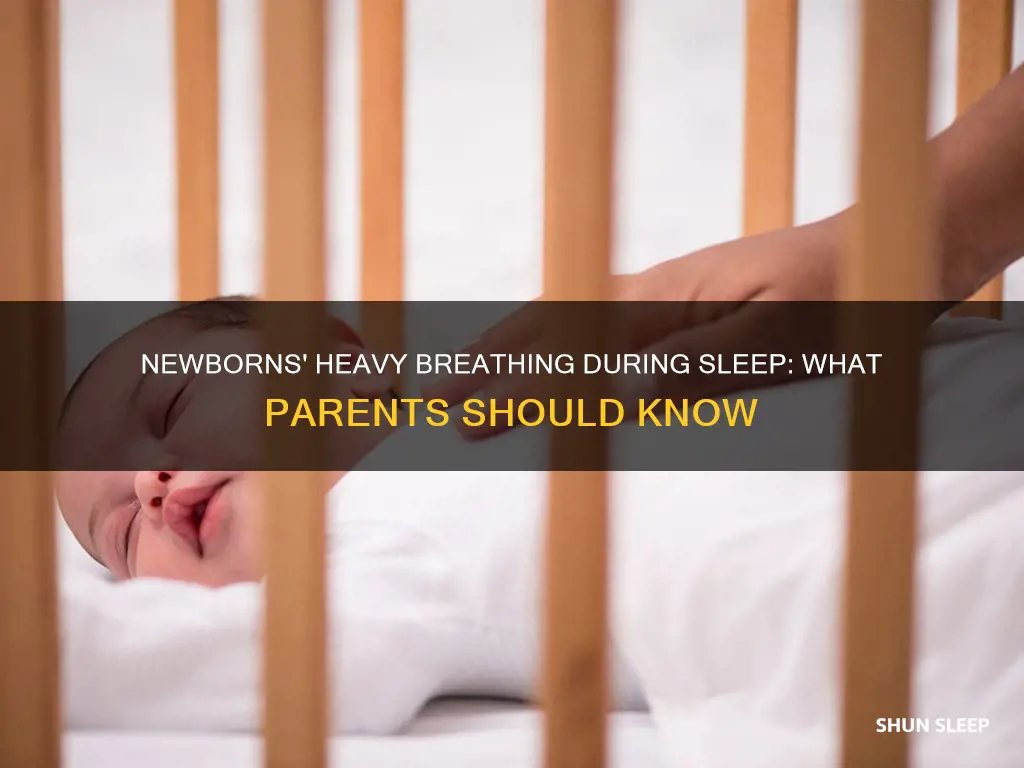 why do newborns breathe heavy when sleeping