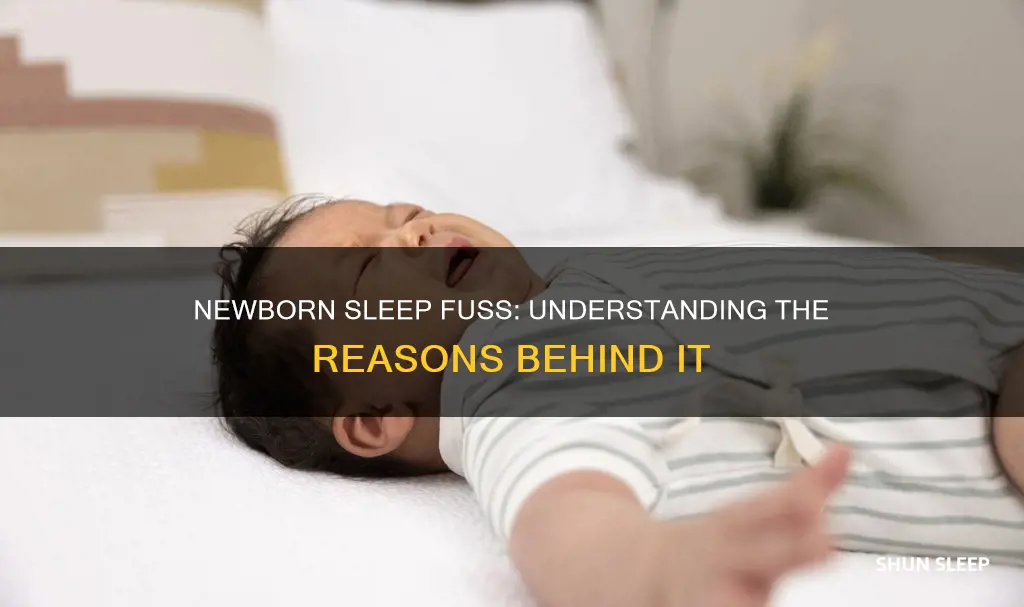 why do newborns fuss in their sleep