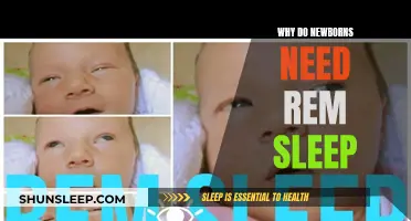 REM Sleep: Essential for Newborn Brain Development