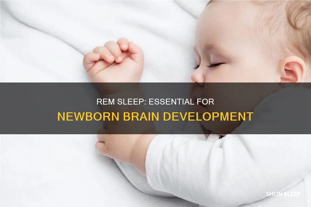 why do newborns need rem sleep