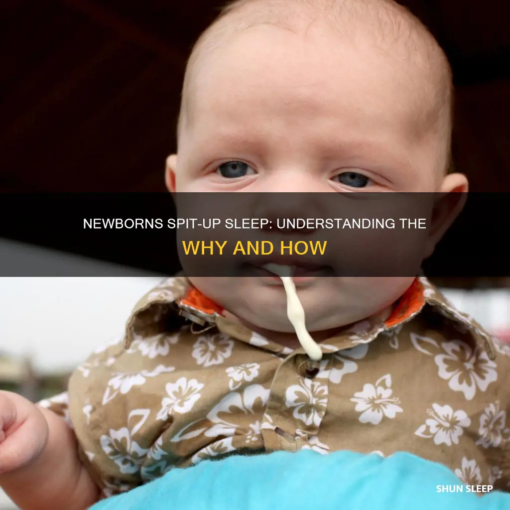 why do newborns spit up in their sleep